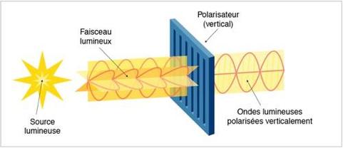 Le microscope polarisant - LABOROCHES